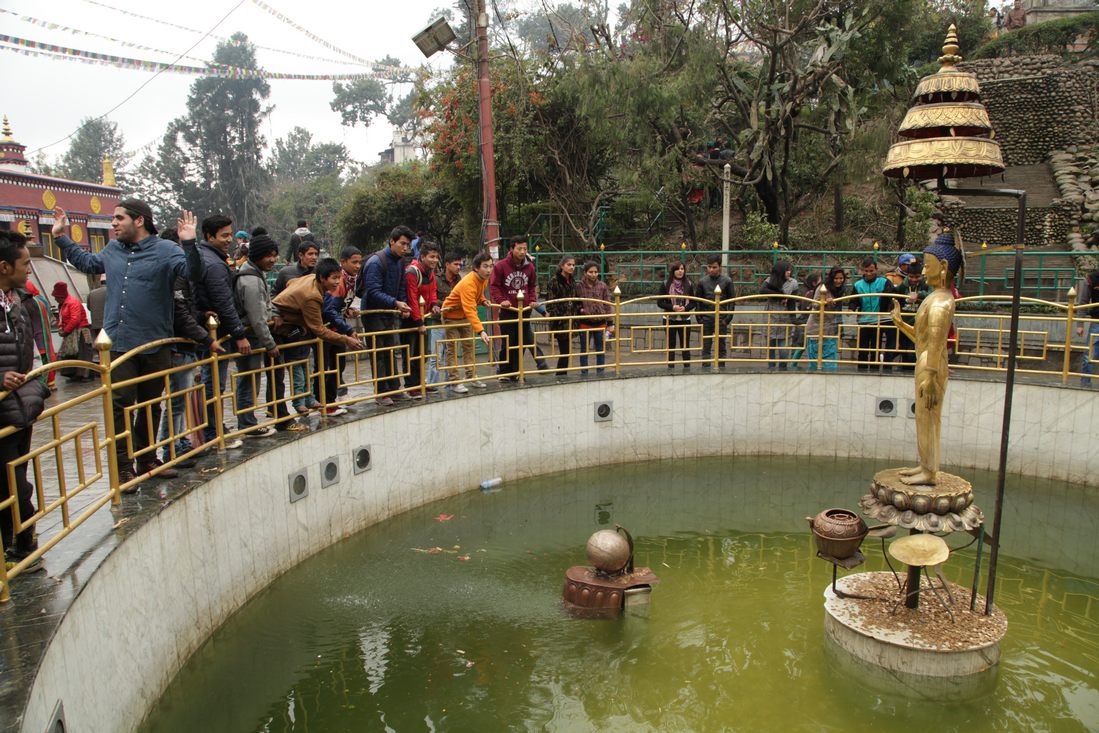 Muntjes gooien bij Monkey tempel