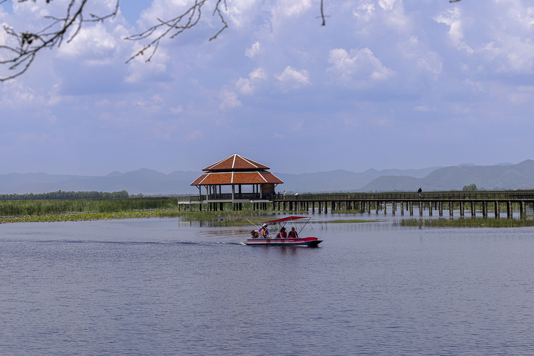 Bueng Bua Wood Boardwalk