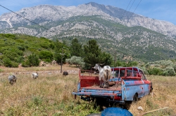 Samos 2023 25.jpg