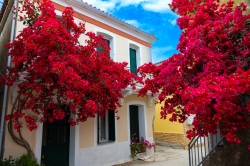 Samos 2023 28.jpg